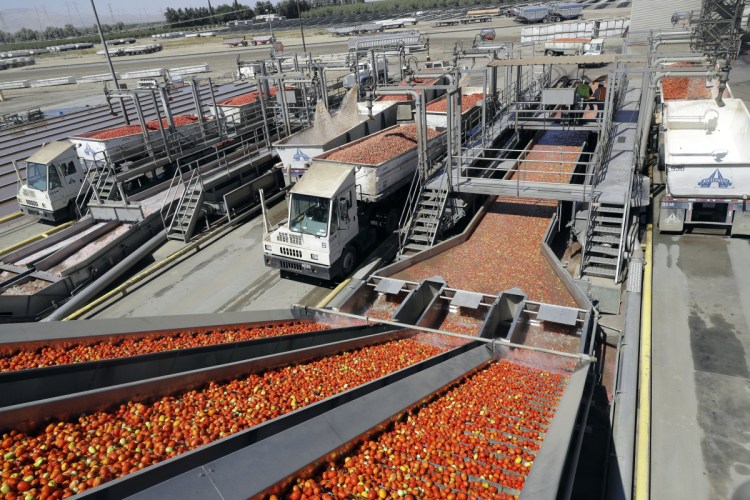 Tomatoes go through a washing process in Huron, Calif., in September.