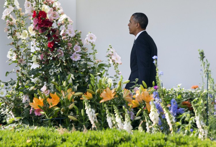 President Barack Obama walks toward the Oval Office, passing flowers in the Rose Garden, after returning from a trip to California on June 16, 2014. Irvin Williams, who worked as head gardener at the White House from 1962 to 2008, died Wednesday.