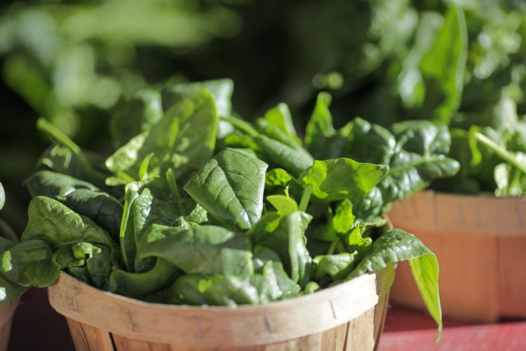 Baskets of organic spinach and other leafy greens are displayed for sale in 2016. With romaine lettuce off the market, spinach could be an alternative for salads. Hannaford's Back Cove store in Portland had long rows of boxed spinach salad Wednesday, below multiple printed notices of the voluntary recall of all romaine products. 