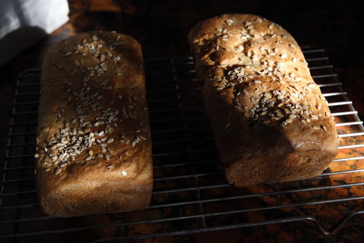Freshly baked honey-oat bread loaves.