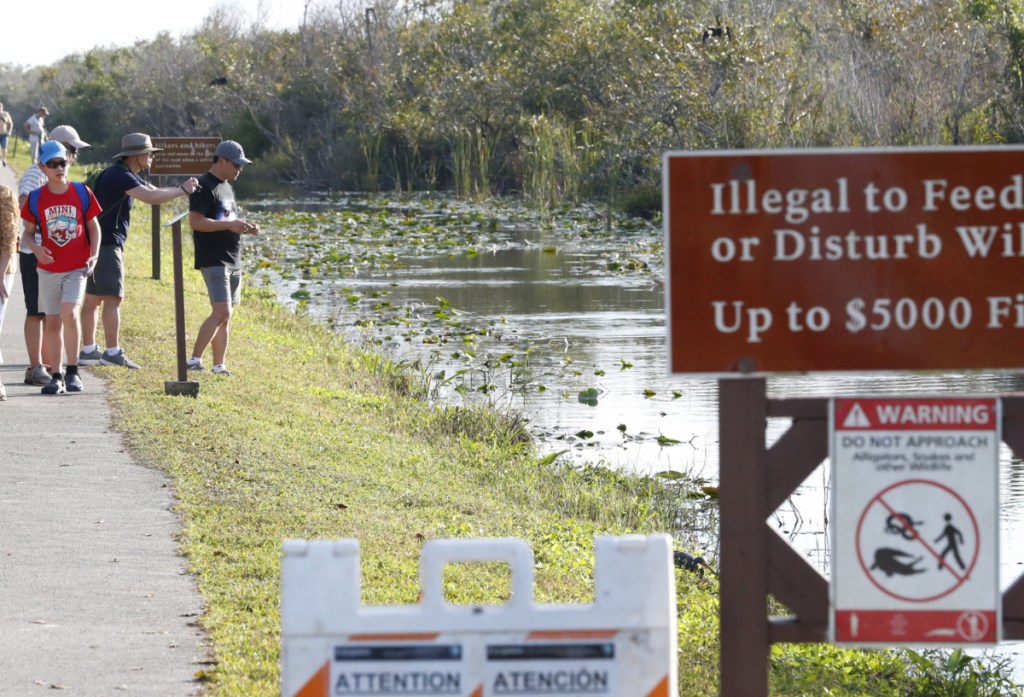 Everglades National Park in Florida and others with little staff due to the government shutdown are being overwhelmed by trash and other problems.