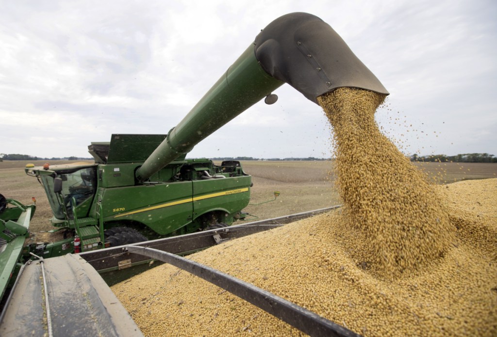 Soybeans are harvested in Brownsburg, Indiana in September. 