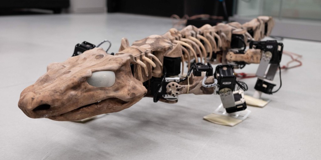 Researchers in Germany and Switzerland used a nearly 290-million-year old fossil of an early amphibian called Orabates pabsti and its preserved ancient footprints to create a moving robot model of prehistoric life.