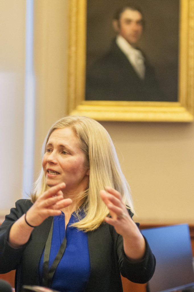 Hannah Pingree says her first priorities as head of Maine's new Office of Innovation and the Future will be early-childhood education, the opioid crisis, the expansion of broadband, workforce development and improving the state's rural economy.
