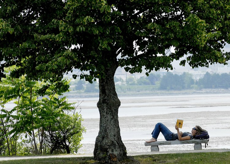 Sarah VanderLink of New Gloucester keeps cool under the shade of a tree while reading a book near back cove in Portland in 2010.