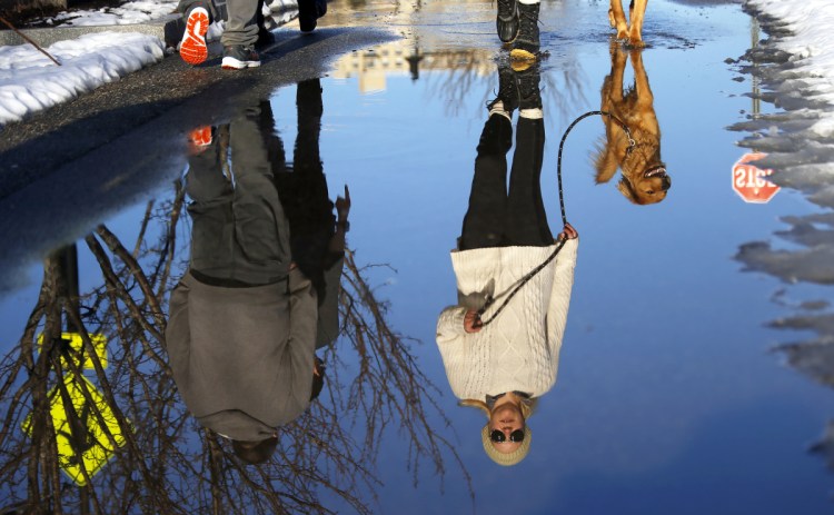 Hayley Duval and golden retriever mix Herbie are reflected in a puddle during a stroll along Thames Street in Portland on Tuesday. Duval, of Boston, Mass., said the unseasonable weather was "absolutely gorgeous."
