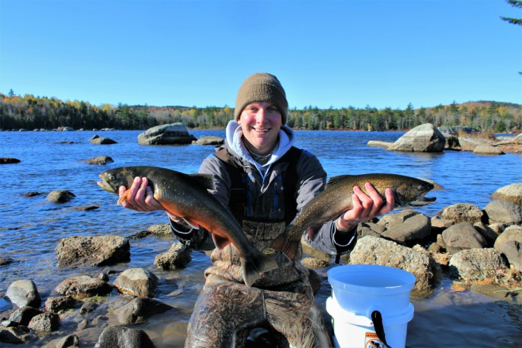 University of Maine graduate student Brad Erdman holds an Artic char, left, and a brook trout, right, at Floods Pond near Otis in October. Scientists in Maine are in the middle of a project to use DNA to help preserve Arctic char, which are at the southern end of their range in the state.
