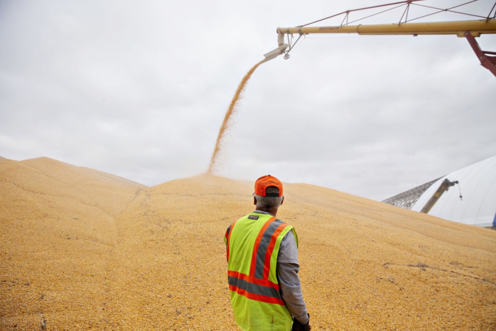 A worker monitors corn being loaded into a storage bunker at the Michlig Grain elevator in Sheffield, Ill., last fall. From trade tensions that have affected a long list of what it produces to a labor shortage that's exacerbated by a crackdown on immigration, the U.S. farm economy has been facing tough hurdles.