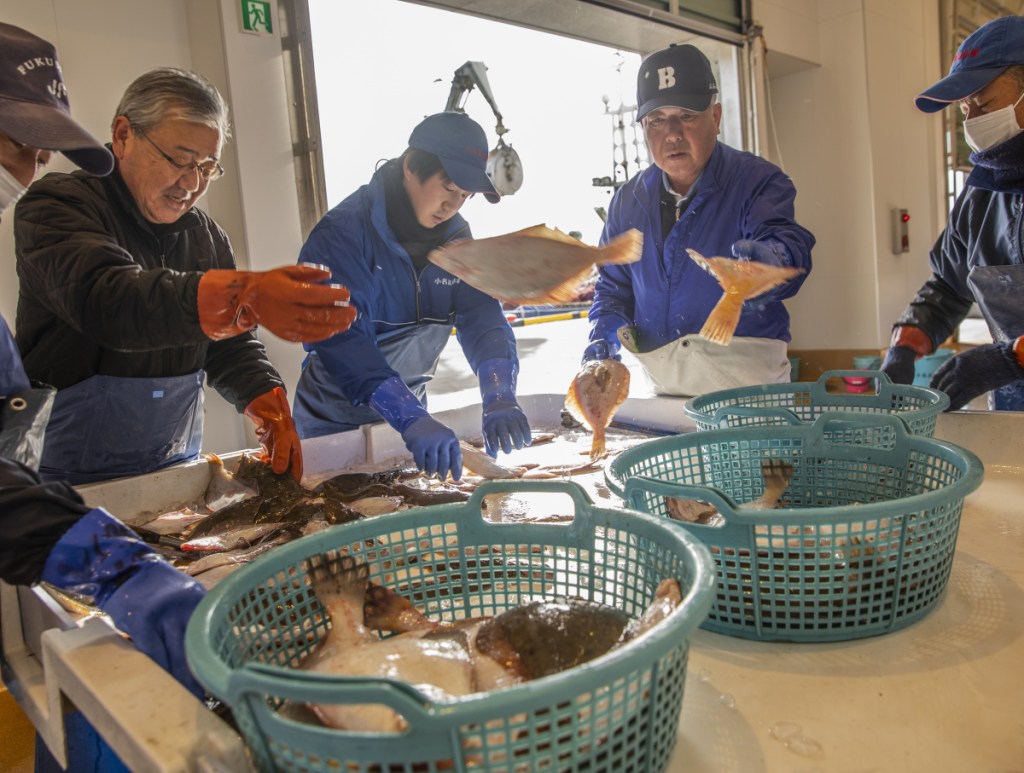 Fish from every ocean catch is monitored at the Onahama fishing port. Officials say none has exceeded radiation limits in the past three years. Washington Post/Shiho Fukada
