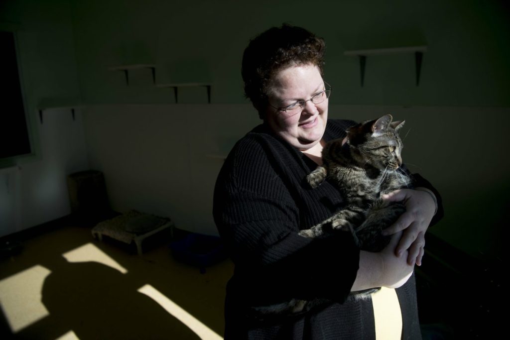 Top: Lisa Oakes, executive director of the Humane Society Waterville Area in Waterville, cuddles Friday with Bobby, a cat that was saved after a dog nearly crushed his head. Bottom: The wall at the Humane Society Waterville Area in Waterville is decorated with pictures of adopted animals.