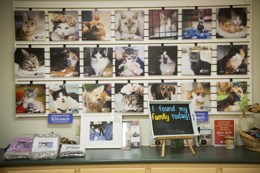 The wall at the Humane Society Waterville Area in Waterville is decorated with pictures of adopted animals.