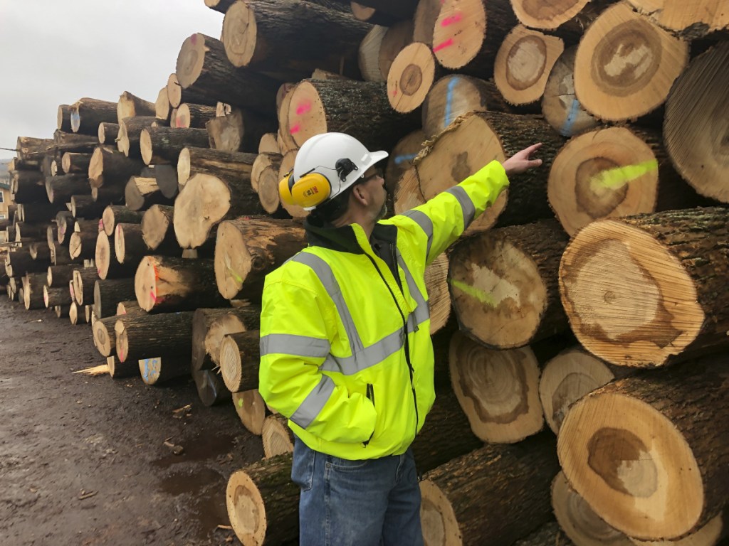 Tom Gerow, a general manager at The Wagner Cos., inspects ash logs Feb. 7 at the company's mill in Owego, N.Y. The emerald ash borer is decimating ash trees in dozens of states and loggers are harvesting the popular wood while it's still available.
