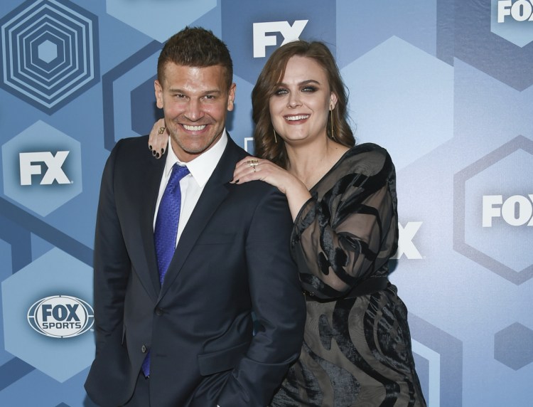 David Boreanaz and Emily Deschanel, the stars of "Bones" from 2005 through 2017, sued Fox in 2015, saying it denied them profits by licensing the show to Fox's TV division and to Hulu for below-market rates.  An arbitrator has ordered 21st Century Fox to pay $179 million in the dispute.
