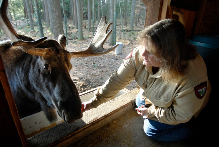 Pam Richardson feeds George at the Maine Wildlife Park in 2006. 