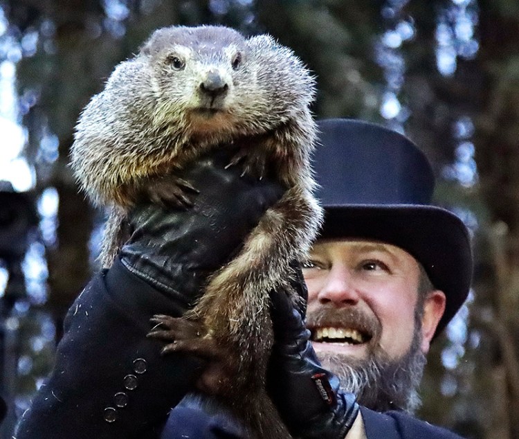 Al Dereume holds Punxsutawney Phil, the weather prognosticating groundhog, during the 133rd celebration of Groundhog Day on Gobbler's Knob on Saturday.