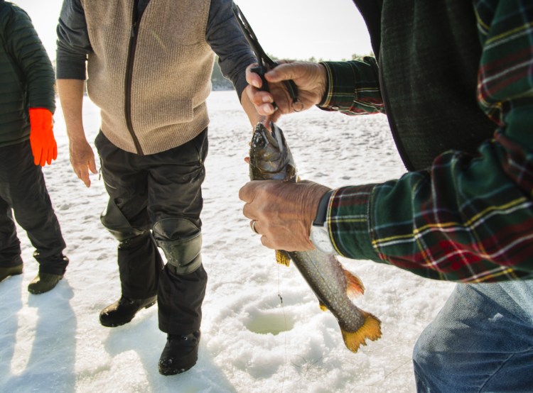A reader is unnerved to learn from a recent Telegram article on ice fishing that "some waterways in Maine are so polluted that we cannot eat the fish."
