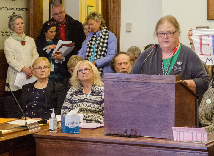 Rep. Lois Galgay Reckitt, D-South Portland, introduces her proposed amendment to the Maine Constitution to prohibit discrimination based on gender, on Thursday at the State House.
