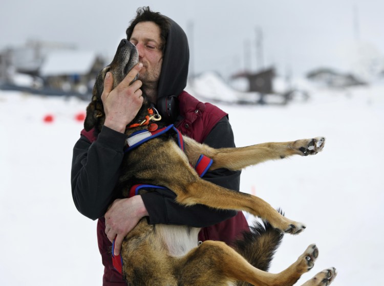 Nicolas Petit hugs one of his dogs before they leave Unalakleet, Alaska, during the Iditarod Trail Sled Dog Race on Sunday.