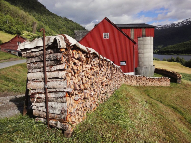 In Norway, a long and winding wood stack sits along the side of the road.