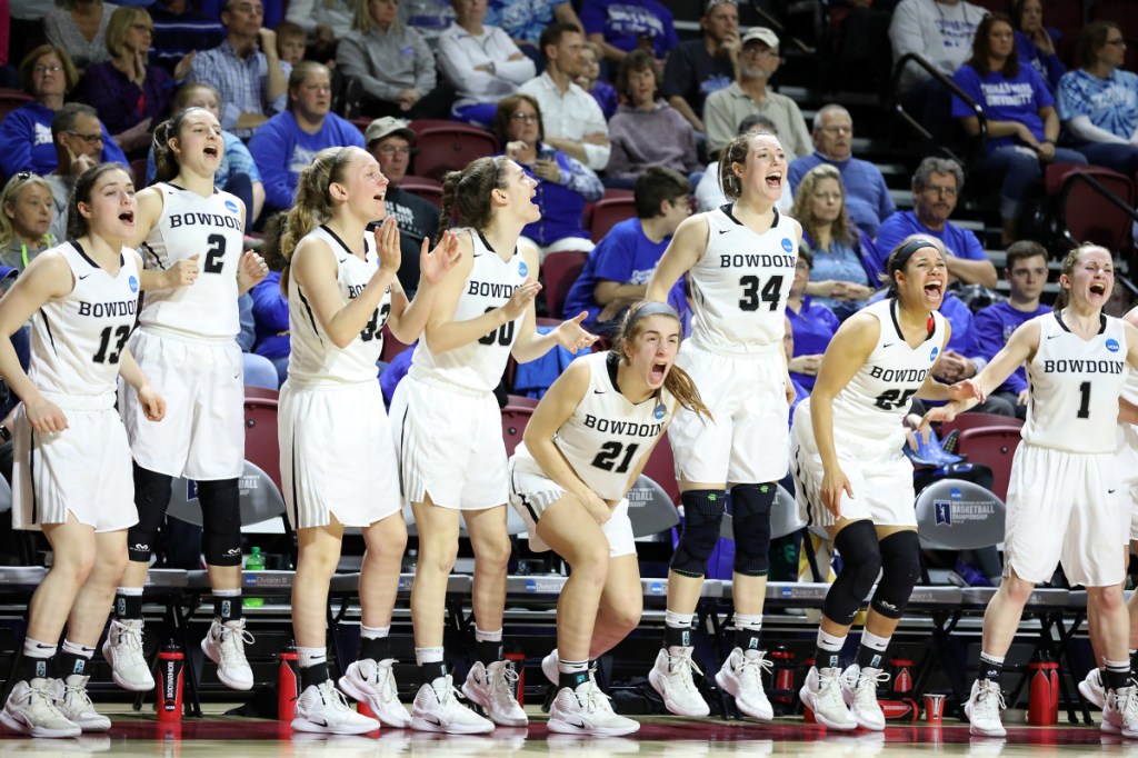 Bowdoin players celebrate as the Polar Bears take control in the closing minutes on their way to a 71-60 win over St. Thomas in an NCAA Division III women's basketball semifinal Friday in Salem, Va.
