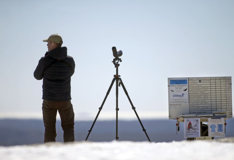 Zane Baker scans the skies for migrating raptors as part of the annual Bradbury Mountain hawk watch. He uses a combination of the naked eye, binoculars and a high-powered scope to find the birds, often spotting them miles away. He keeps track of the sightings on a dry-erase board, right. 