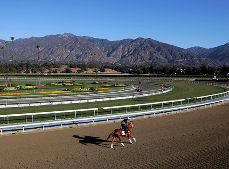 An exercise rider takes a horse for a workout at Santa Anita Park with palm trees and the San Gabriel Mountains as a backdrop in Arcadia, Calif.  in 2013.