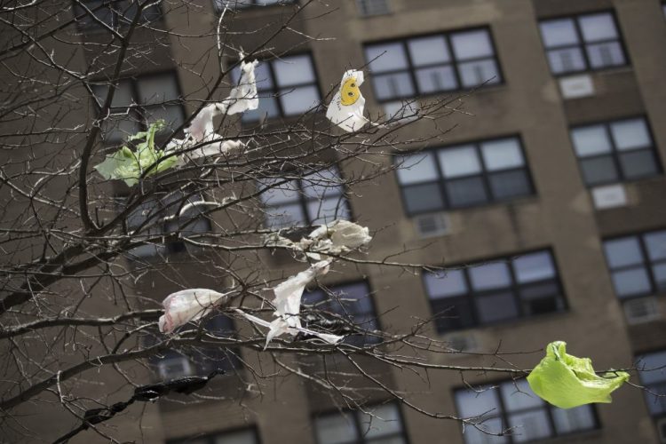 Plastic bags are tangled in the branches of a tree in New York City's East Village neighborhood. Lawmakers are working through the final weekend of the month to pass a budget that would include  a state wide ban on single use plastic bags. 