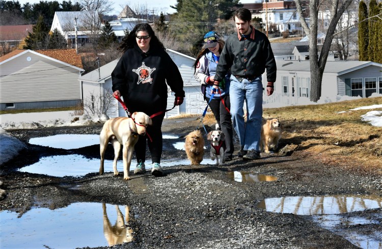 On a springlike Tuesday, the Stubb family, from left, Rebecca Stubbs and children Cheyeanne and Merle, take their dogs for a walk in the fresh air while avoiding potholes on their way home in Skowhegan. 