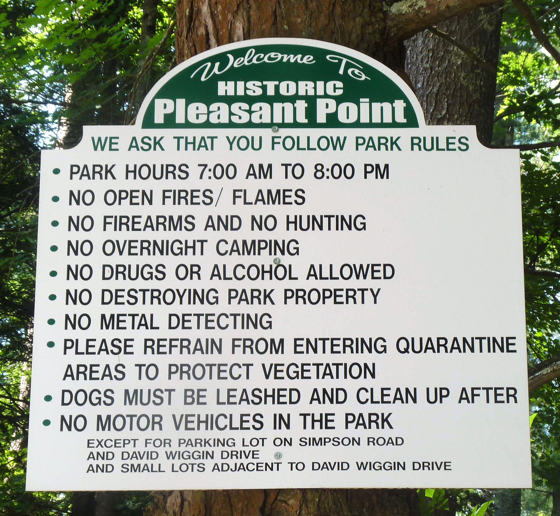 Open Road's Dogs Welcome Metal Sign