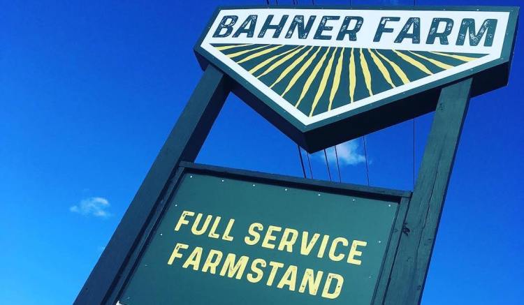 Since they started their farm in 2009, Mike and Christa Bahner have invested in their farmstand and marketing an on-farm experience. That left them poised to grow business and help their community when the pandemic changed shopping patterns.
