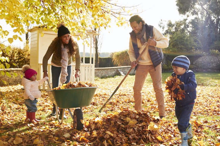 Preparing gardens for winter is an important step that can help homeowners ensure their gardens return to full strength in the spring.