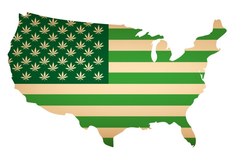 With a 100%
win rate, five more U.S.
states voted
to legalize
cannabis for
medicinal and/or
recreational use.