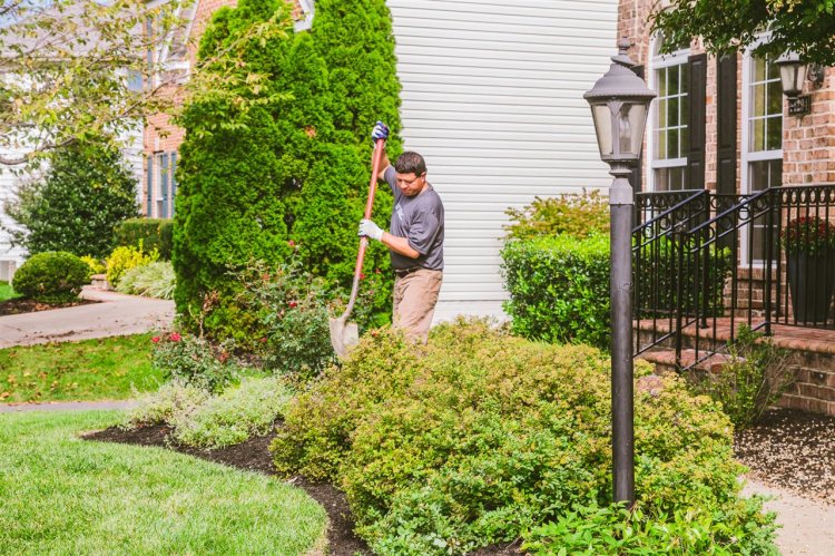 When you plant more trees and shrubs in your yard, you are sequestering carbon, producing oxygen and cleaning and filtering the air in your immediate environment.