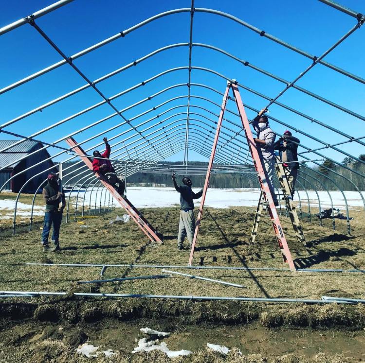 Workers install a high tunnel at Liberation Farms in Wales. Building permanent structures is one of the many investments that the Somali Bantu Community Association are making at the Little Jubba Central Maine Agrarian Commons.