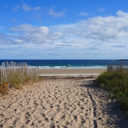 Sandy beach at Scarborough Beach State Park