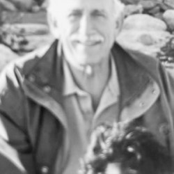 Dr. Arthur C. DiMauro