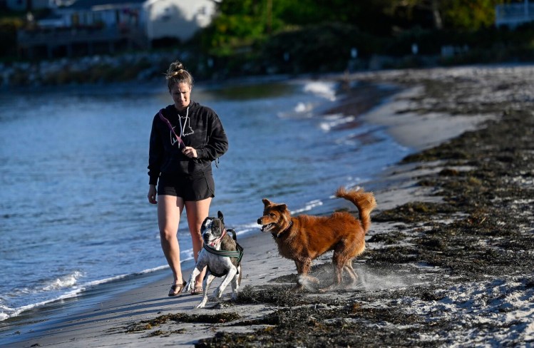 Rachel Gips of South Portland watches as her dog, Messi, left, plays with another dog while walking along the beach Tuesday at Willard Beach in South Portland.