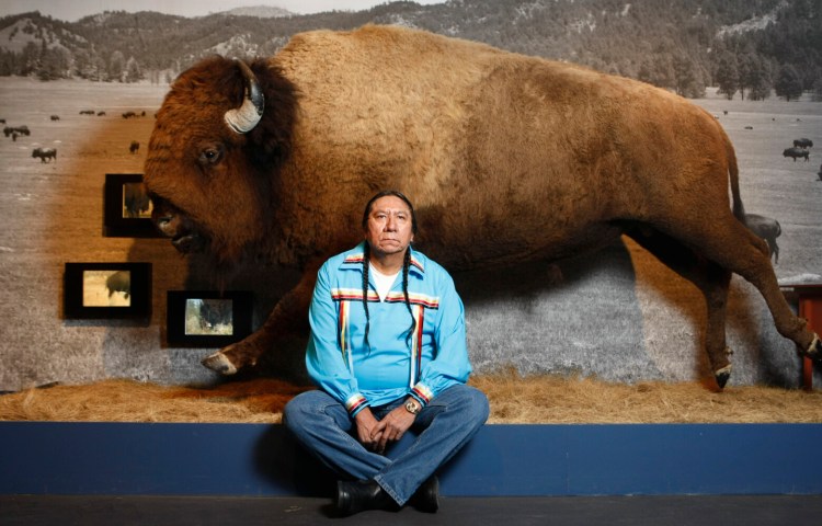 Earnest "Ernie" LaPointe, the great-grandson of Sitting Bull, sits in front a buffalo that was part of a museum exhibit about Sitting Bull in Bremen, northern Germany, in 2008.
