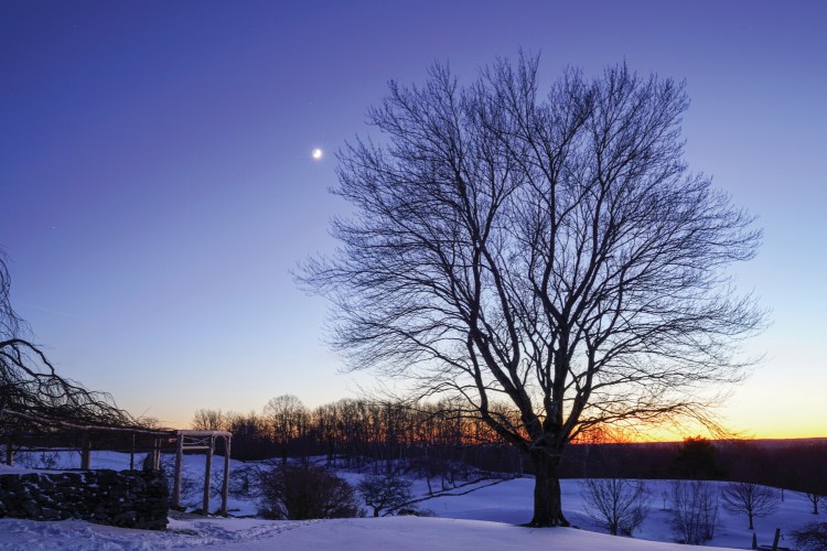 Sunset and twilight can be better appreciated in winter, when the moon is higher in the sky, according to "Winterland," a new book by Blue Hill resident Cathy Rees. 