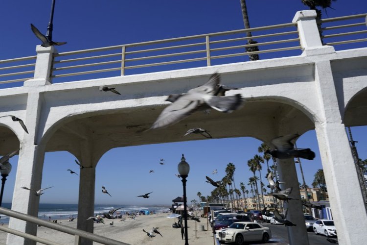 Birds fly past a bridge connecting the Oceanside pier to Pacific Street on Friday in Oceanside, Calif. The iconic bridge is deteriorating because the city lacks the money for a roughly $25 million rehabilitation. 