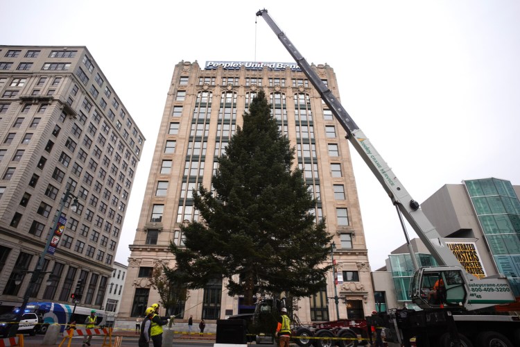 Portland's 40-foot balsam fir Christmas tree, shown here as it was lowered into Monument Square last week, will be lit   at dusk (around 4 p.m.) Friday. No official ceremony is planned; people who do turn out are asked  to wear masks and practice social distancing in Monument Square.
A "Tree Cam" will be on around the clock at portlandmaine.com/tree.
