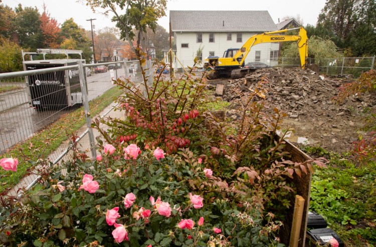 A rose bush remains at the site of the 2014 fire on Noyes Street in Portland, in which six young people lost their lives. 