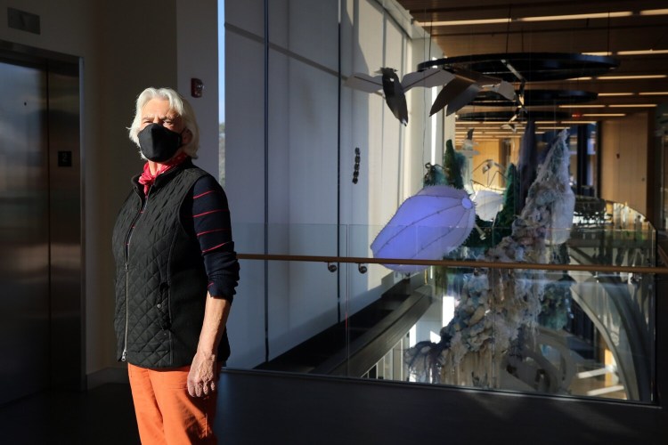 Artist Anna Dibble is part of a Maine arts collaborative called EcoArts, which has created an installation of new work, called "Majestic Fragility" at Bigelow Laboratory for Ocean Sciences. Dibble, along with artist Lee Chisolm, created sculptures of migratory seabirds that hang from the second-floor ceiling and are visible from the first floor.