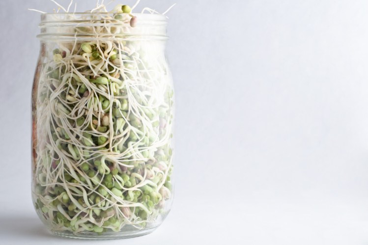 You probably already have all the equipment you need to grow mung beansprouts.