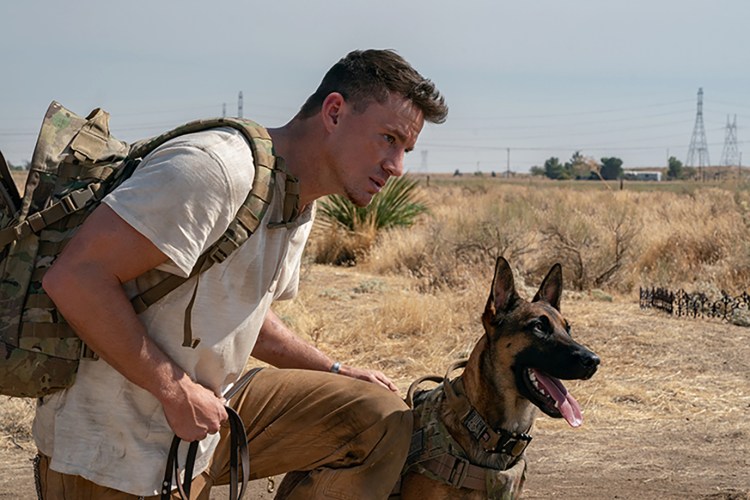 Channing Tatum, left, with his canine co-star in "Dog."