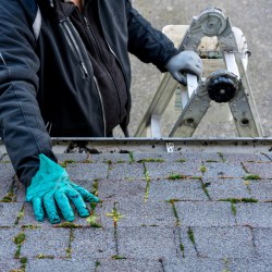 Person on top of ladder cleaning moss and dirt from a shingled roof. They are wearing rubber gloves, which are dirty from their work.