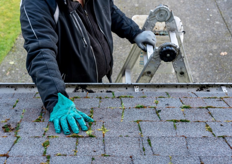 If you have a safe ladder, you can remove debris and address minor damage, such as missing shingles, on your own.