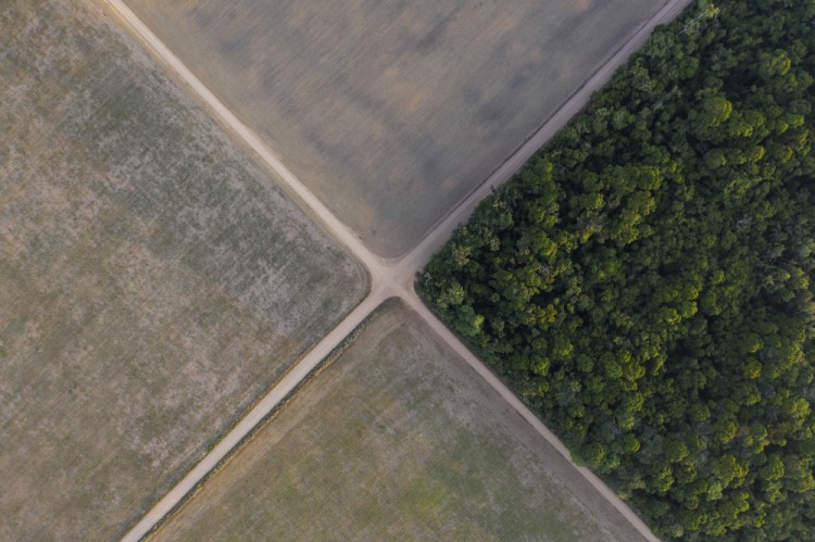 In this 2019 file photo, a section of Amazon rainforest stands next to soy fields in Belterra, Para state, Brazil. 