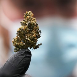 Marijuana Legalization Virginia