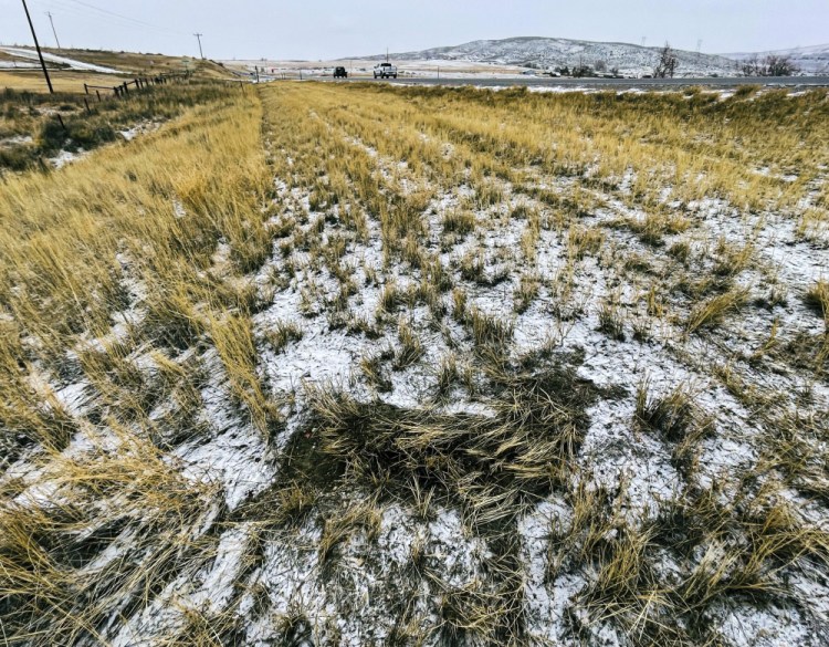 The outline of a mule deer that was struck by a car and claimed for food using a new state of Wyoming roadkill app is seen in grass and snow near U.S. 287 south of Lander on Feb. 21. 